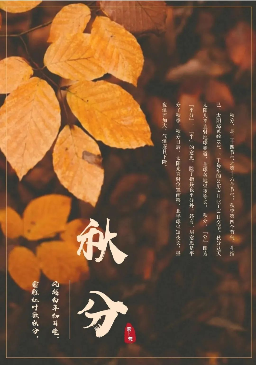 洋溢著豐收的喜悅1.jpg 洋溢著豐收的喜悅1.jpg